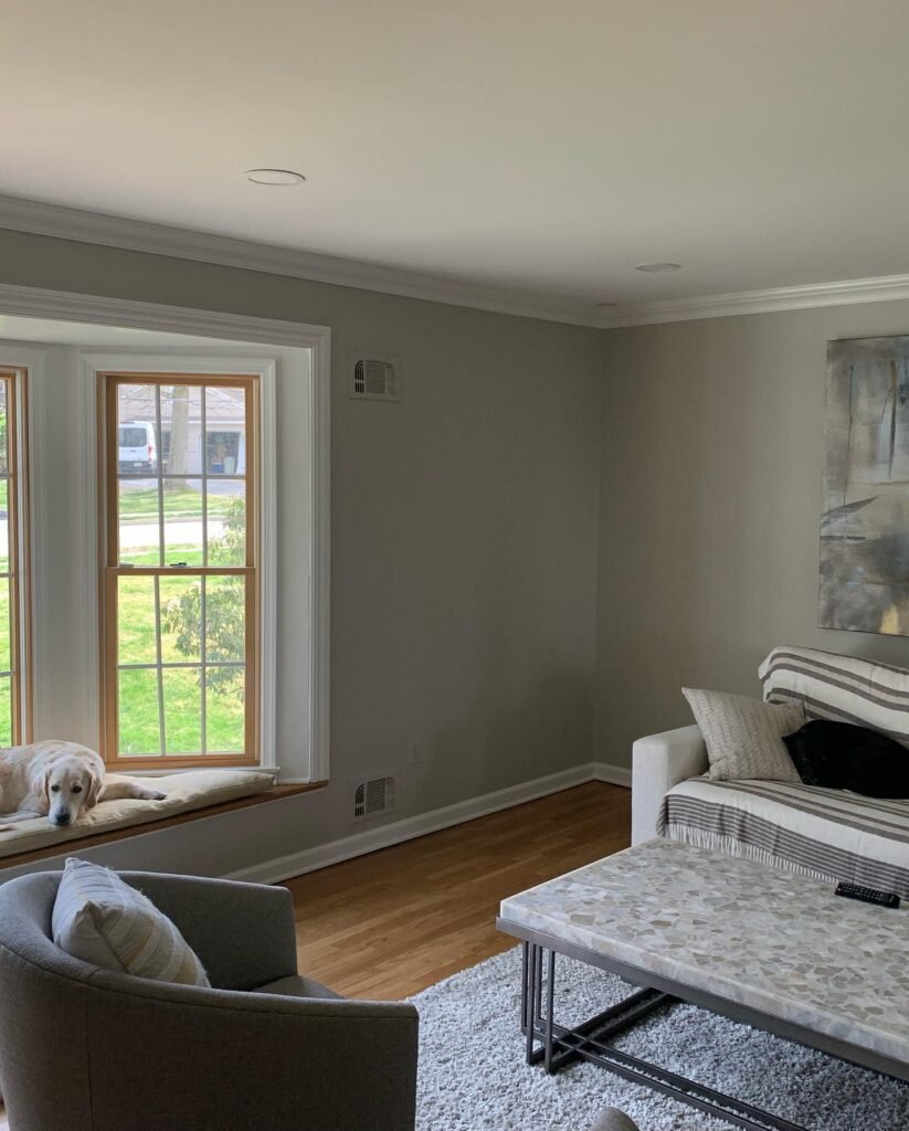 349131023_1677150706059014_7672301961547660747_n